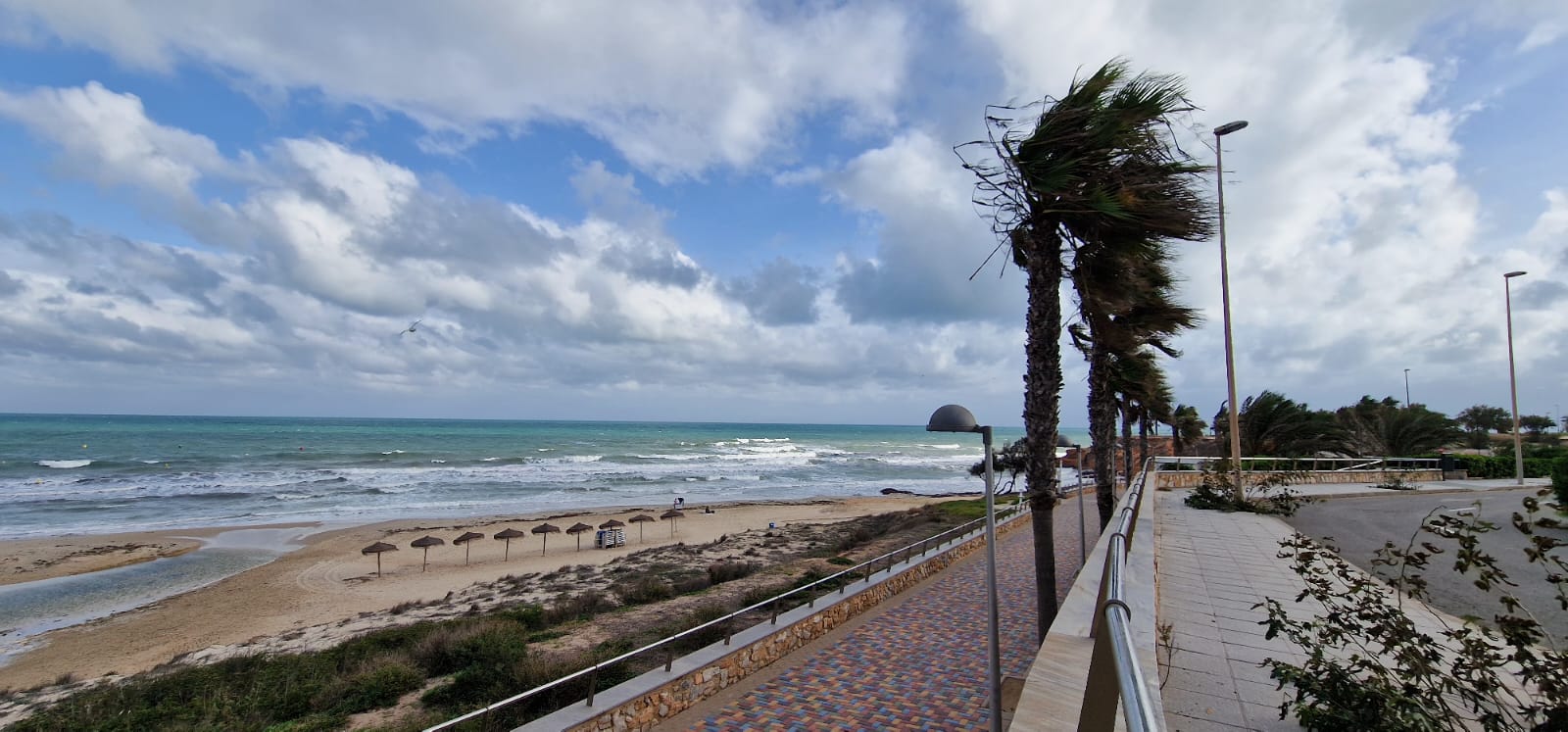 Imagen de WhatsApp 2024-11-15 a las 15.19.42_f555a0d0