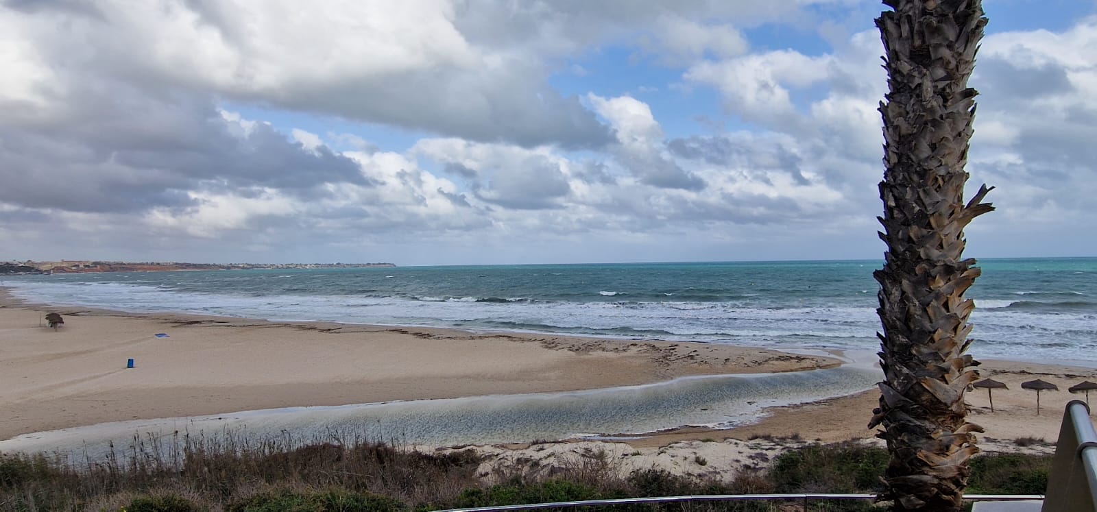 Imagen de WhatsApp 2024-11-15 a las 15.19.47_bbc9182c