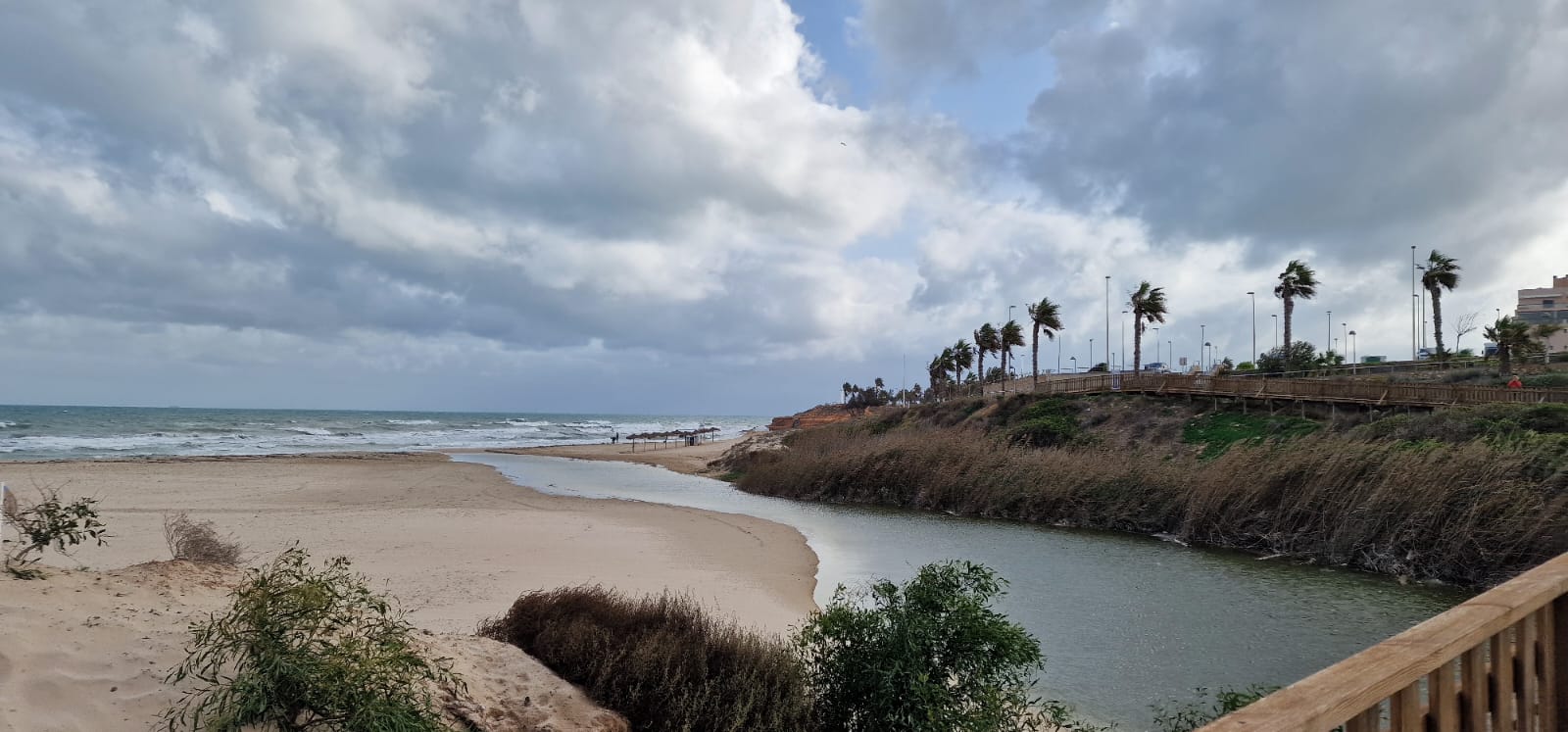 Imagen de WhatsApp 2024-11-15 a las 15.25.03_0270a4a0