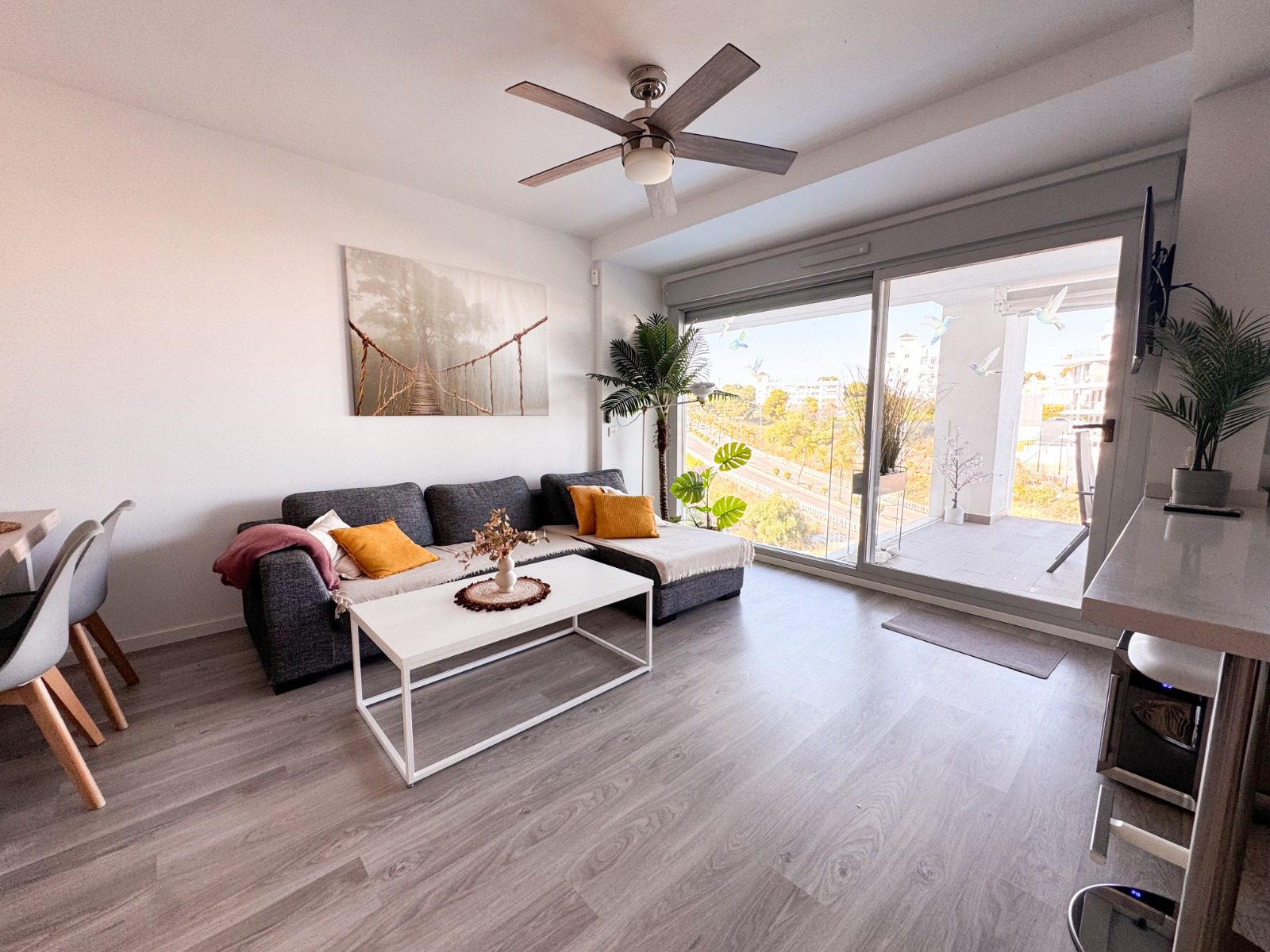 WhatsApp Image 2026-01-27 at 12.10.51