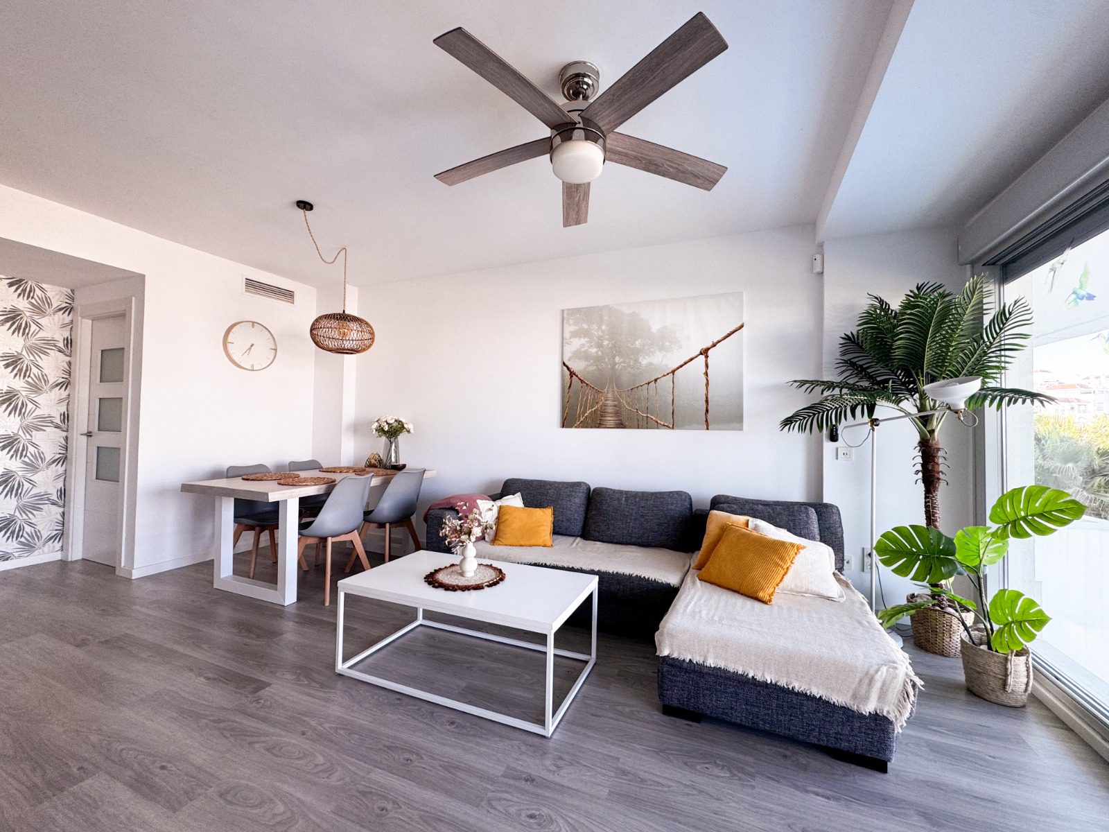 WhatsApp Image 2026-01-27 at 12.10.53