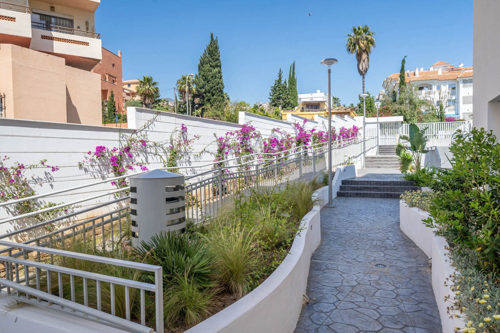 WhatsApp Image 2026-01-27 at 12.11.03 (1)