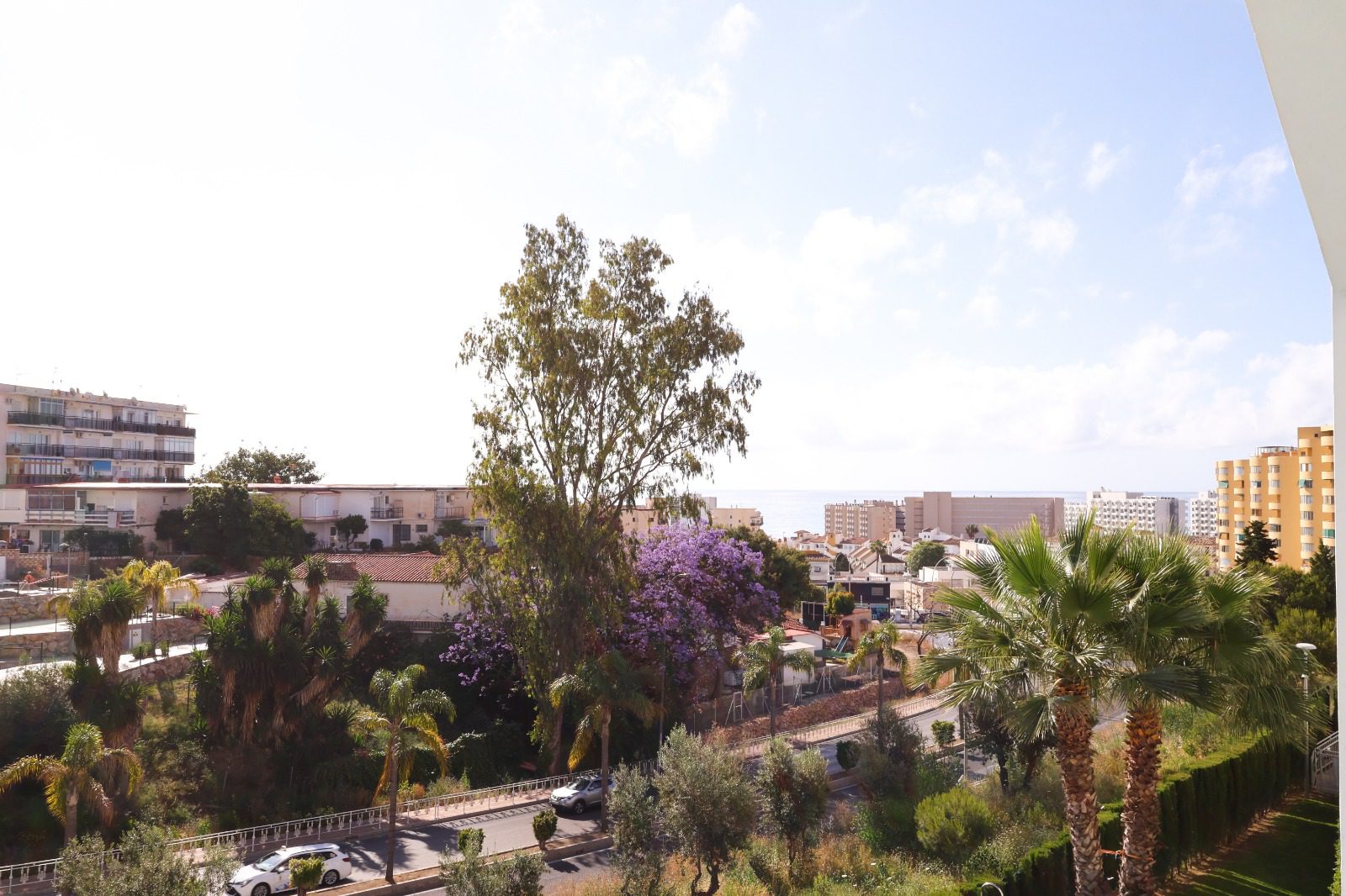 WhatsApp Image 2026-01-27 at 12.11.04 (1)