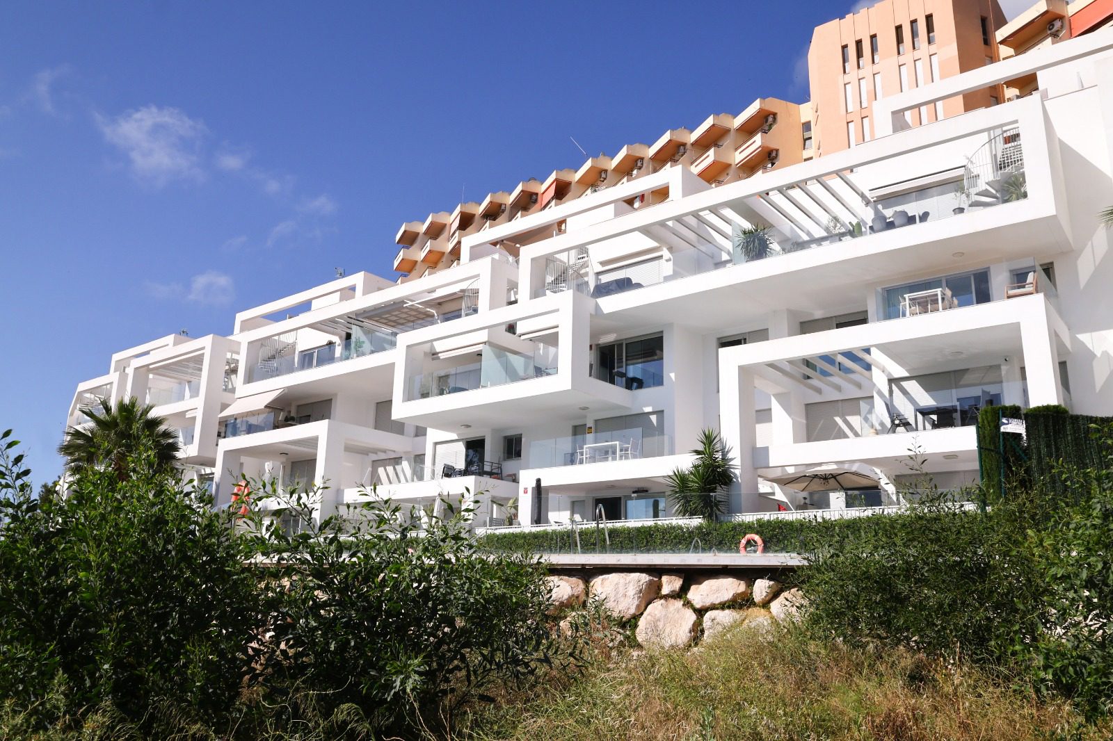 WhatsApp Image 2026-01-27 at 12.11.06