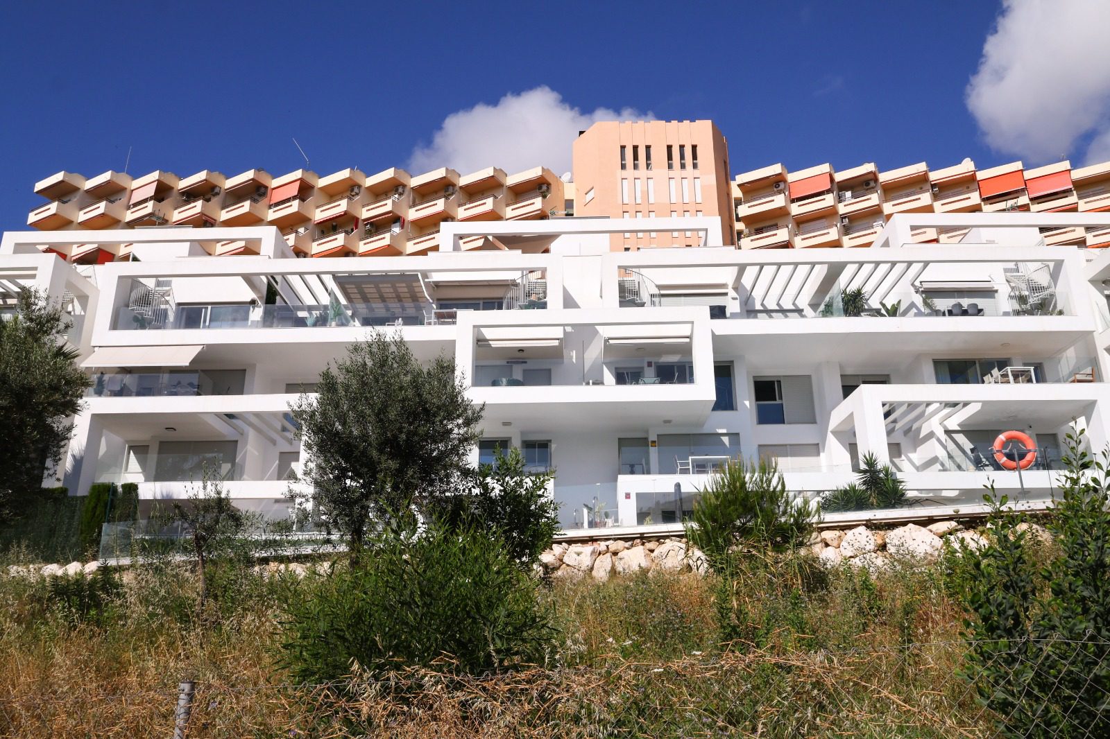 WhatsApp Image 2026-01-27 at 12.11.07