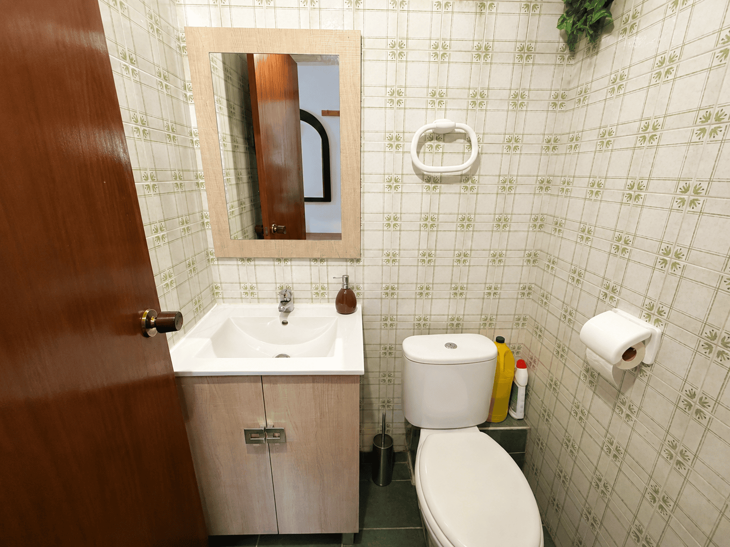 APARTAMENT Z WIDOKIEM NA MORZE I PARK PALMOWY W PUNTA PRIMA
