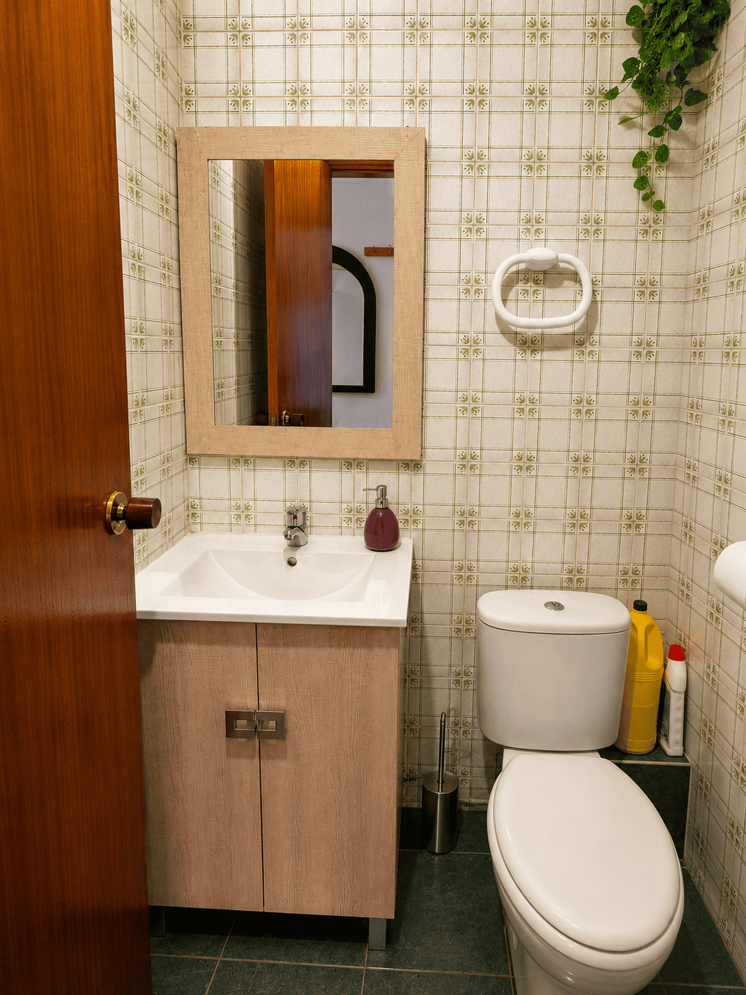 APARTAMENT Z WIDOKIEM NA MORZE I PARK PALMOWY W PUNTA PRIMA